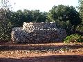 Pajara
