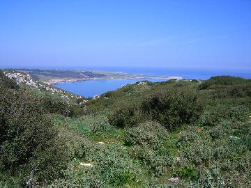 Area Marina