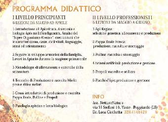 Corsi di apicoltura biologica