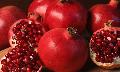 Agridrink nella Settimana del Consumatore
