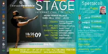 Danser Ensemble Danzare Insieme&reg;