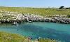 porto badisco