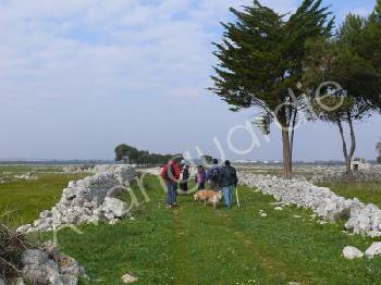 paesaggio salentino