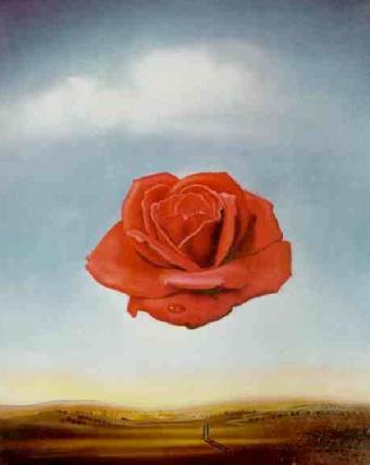 rosa