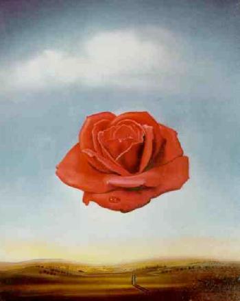 rosa