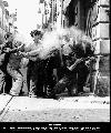 Foto della mostra