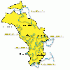 Zona gialla