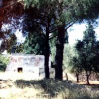 Masseria Petrelli