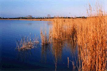 Parco naturalistico