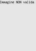 Paleolitico