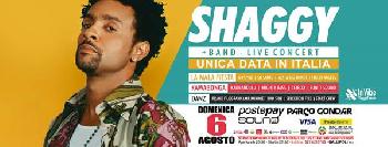 Shaggy Live