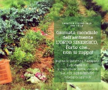 L'orto sinergico: l'orto che non si zappa!