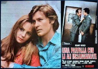 Una farfalla con le ali insanguinate