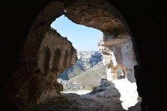 Francigena salentina