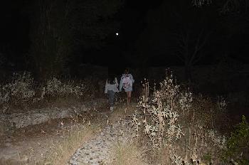 Le favole della luna piena